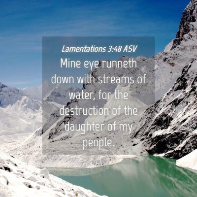 Picture 04 - Lamentations 3:48 ASV - Mine eye runneth down with streams of water, for - Bible Verse Picture