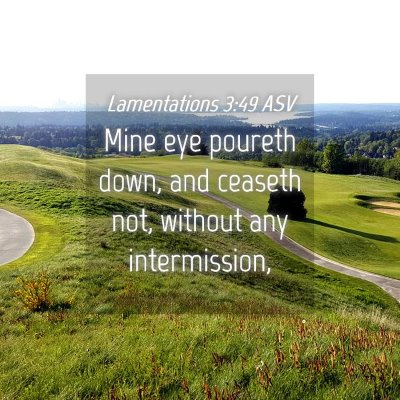 Picture 04 - Lamentations 3:49 ASV - Mine eye poureth down, and ceaseth not, without - Bible Verse Picture