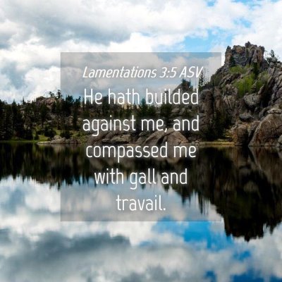 Picture 04 - Lamentations 3:5 ASV - He hath builded against me, and compassed me with - Bible Verse Picture