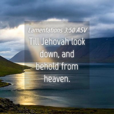 Picture 04 - Lamentations 3:50 ASV - Till Jehovah look down, and behold from - Bible Verse Picture