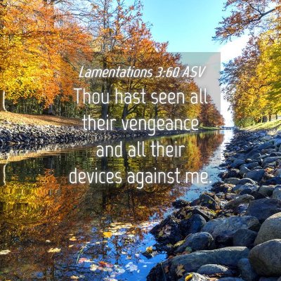 Picture 04 - Lamentations 3:60 ASV - Thou hast seen all their vengeance and all their - Bible Verse Picture