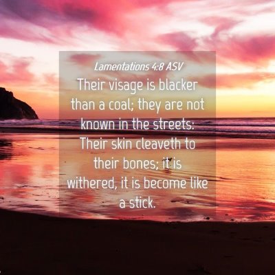 Picture 04 - Lamentations 4:8 ASV - Their visage is blacker than a coal; they are not - Bible Verse Picture