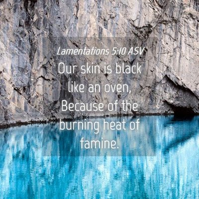 Picture 04 - Lamentations 5:10 ASV - Our skin is black like an oven, Because of the - Bible Verse Picture