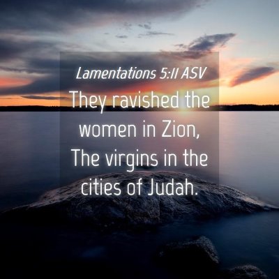 Picture 04 - Lamentations 5:11 ASV - They ravished the women in Zion, The virgins in - Bible Verse Picture