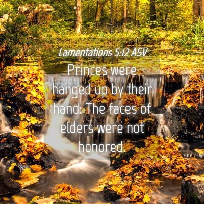 Picture 04 - Lamentations 5:12 ASV - Princes were hanged up by their hand: The faces - Bible Verse Picture