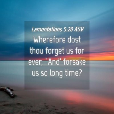 Picture 04 - Lamentations 5:20 ASV - Wherefore dost thou forget us for ever, `And' - Bible Verse Picture