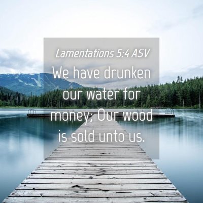 Picture 04 - Lamentations 5:4 ASV - We have drunken our water for money; Our wood is - Bible Verse Picture