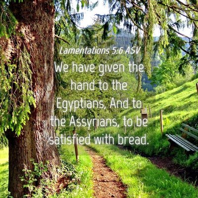Picture 04 - Lamentations 5:6 ASV - We have given the hand to the Egyptians, And to - Bible Verse Picture