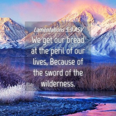 Picture 04 - Lamentations 5:9 ASV - We get our bread at the peril of our lives, - Bible Verse Picture