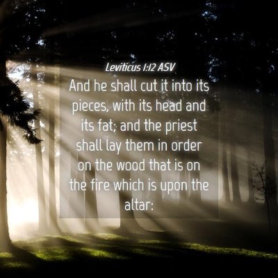 Picture 04 - Leviticus 1:12 ASV - And he shall cut it into its pieces, with its - Bible Verse Picture