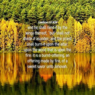 Picture 04 - Leviticus 1:17 ASV - and he shall rend it by the wings thereof, `but' - Bible Verse Picture