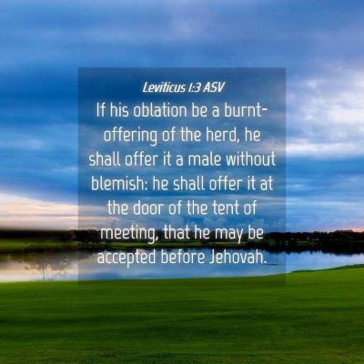 Picture 04 - Leviticus 1:3 ASV - If his oblation be a burnt-offering of the herd, - Bible Verse Picture