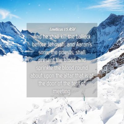 Picture 04 - Leviticus 1:5 ASV - And he shall kill the bullock before Jehovah: and - Bible Verse Picture