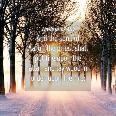 Picture 04 - Leviticus 1:7 ASV - And the sons of Aaron the priest shall put fire - Bible Verse Picture