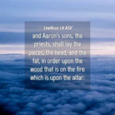 Picture 04 - Leviticus 1:8 ASV - and Aaron's sons, the priests, shall lay the - Bible Verse Picture