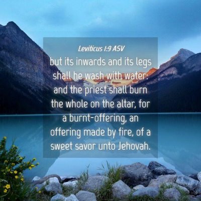 Picture 04 - Leviticus 1:9 ASV - but its inwards and its legs shall he wash with - Bible Verse Picture
