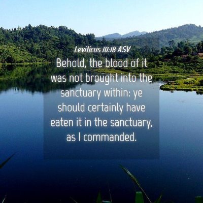 Picture 04 - Leviticus 10:18 ASV - Behold, the blood of it was not brought into the - Bible Verse Picture