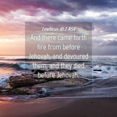 Picture 04 - Leviticus 10:2 ASV - And there came forth fire from before Jehovah, - Bible Verse Picture