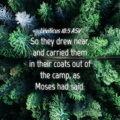 Picture 04 - Leviticus 10:5 ASV - So they drew near, and carried them in their - Bible Verse Picture