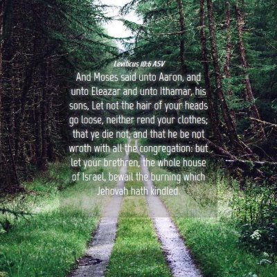 Picture 04 - Leviticus 10:6 ASV - And Moses said unto Aaron, and unto Eleazar and - Bible Verse Picture