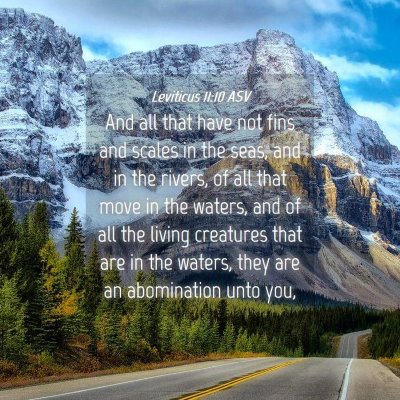 Picture 04 - Leviticus 11:10 ASV - And all that have not fins and scales in the - Bible Verse Picture