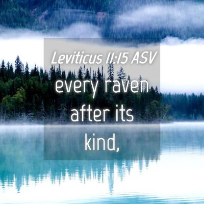 Picture 04 - Leviticus 11:15 ASV - every raven after its - Bible Verse Picture