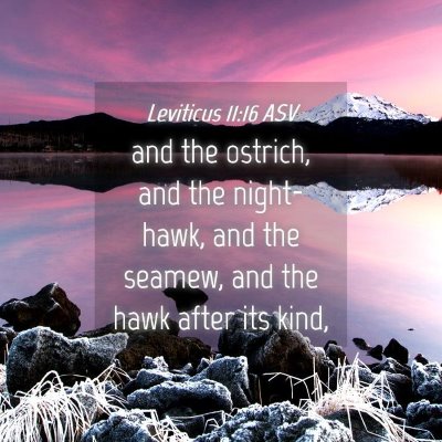 Picture 04 - Leviticus 11:16 ASV - and the ostrich, and the night-hawk, and the - Bible Verse Picture