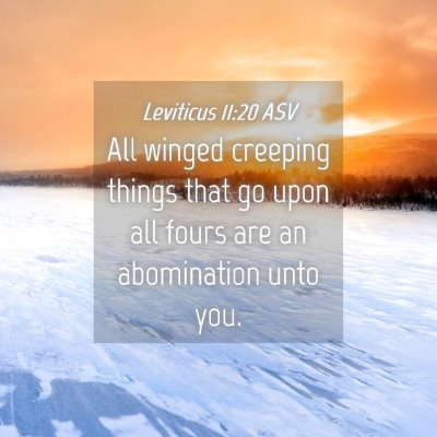 Picture 04 - Leviticus 11:20 ASV - All winged creeping things that go upon all fours - Bible Verse Picture