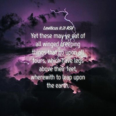 Picture 04 - Leviticus 11:21 ASV - Yet these may ye eat of all winged creeping - Bible Verse Picture
