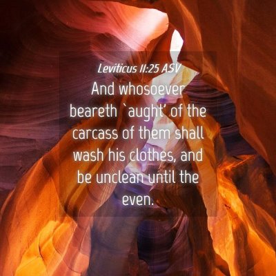 Picture 04 - Leviticus 11:25 ASV - And whosoever beareth `aught' of the carcass of - Bible Verse Picture