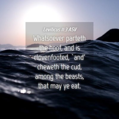 Picture 04 - Leviticus 11:3 ASV - Whatsoever parteth the hoof, and is clovenfooted, - Bible Verse Picture