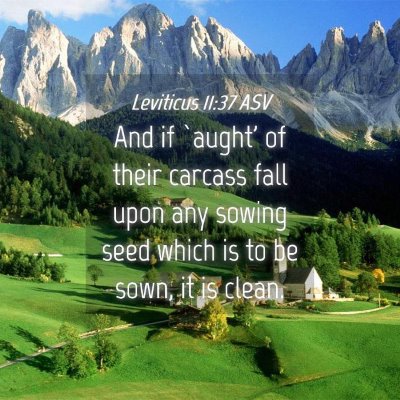 Picture 04 - Leviticus 11:37 ASV - And if `aught' of their carcass fall upon any - Bible Verse Picture