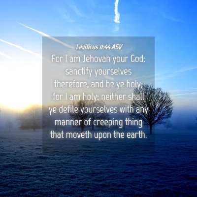 Picture 04 - Leviticus 11:44 ASV - For I am Jehovah your God: sanctify yourselves - Bible Verse Picture