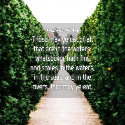 Picture 04 - Leviticus 11:9 ASV - These may ye eat of all that are in the waters: - Bible Verse Picture