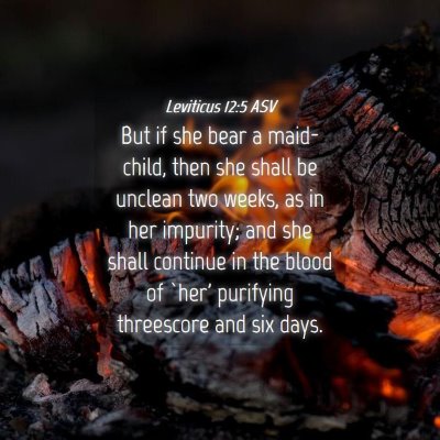 Picture 04 - Leviticus 12:5 ASV - But if she bear a maid-child, then she shall be - Bible Verse Picture