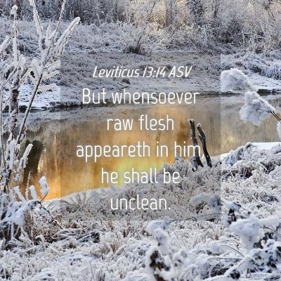 Picture 04 - Leviticus 13:14 ASV - But whensoever raw flesh appeareth in him, he - Bible Verse Picture