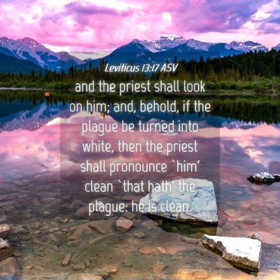 Picture 04 - Leviticus 13:17 ASV - and the priest shall look on him; and, behold, if - Bible Verse Picture