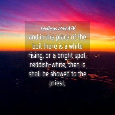 Picture 04 - Leviticus 13:19 ASV - and in the place of the boil there is a white - Bible Verse Picture