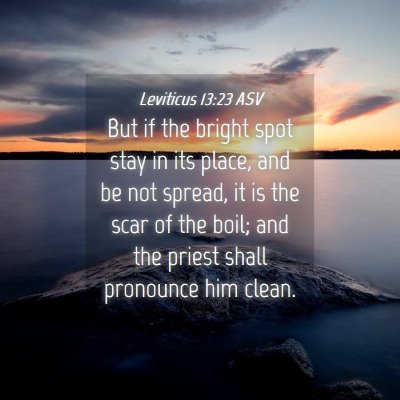 Picture 04 - Leviticus 13:23 ASV - But if the bright spot stay in its place, and be - Bible Verse Picture