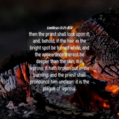 Picture 04 - Leviticus 13:25 ASV - then the priest shall look upon it; and, behold, - Bible Verse Picture
