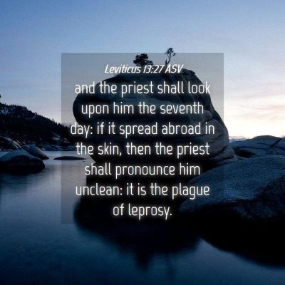 Picture 04 - Leviticus 13:27 ASV - and the priest shall look upon him the seventh - Bible Verse Picture