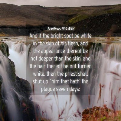 Picture 04 - Leviticus 13:4 ASV - And if the bright spot be white in the skin of - Bible Verse Picture