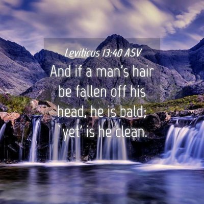 Picture 04 - Leviticus 13:40 ASV - And if a man's hair be fallen off his head, he is - Bible Verse Picture