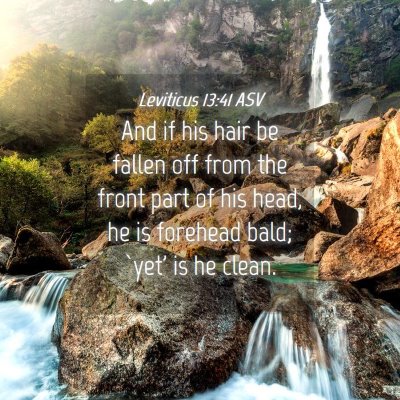 Picture 04 - Leviticus 13:41 ASV - And if his hair be fallen off from the front part - Bible Verse Picture