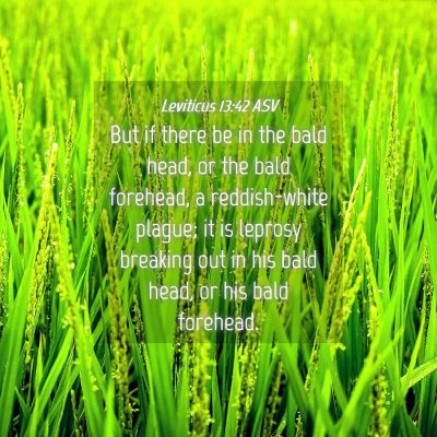 Picture 04 - Leviticus 13:42 ASV - But if there be in the bald head, or the bald - Bible Verse Picture