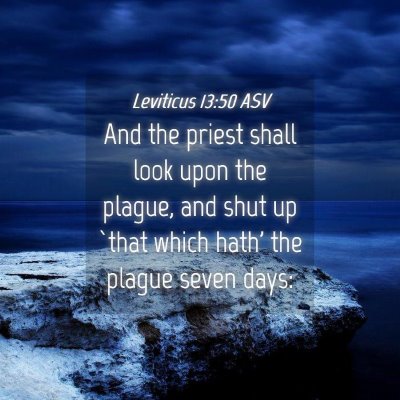 Picture 04 - Leviticus 13:50 ASV - And the priest shall look upon the plague, and - Bible Verse Picture