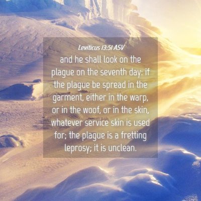 Picture 04 - Leviticus 13:51 ASV - and he shall look on the plague on the seventh - Bible Verse Picture