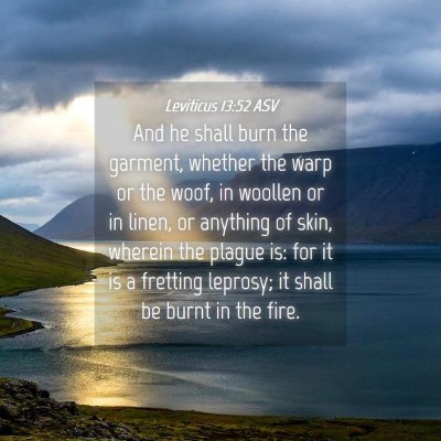 Picture 04 - Leviticus 13:52 ASV - And he shall burn the garment, whether the warp - Bible Verse Picture
