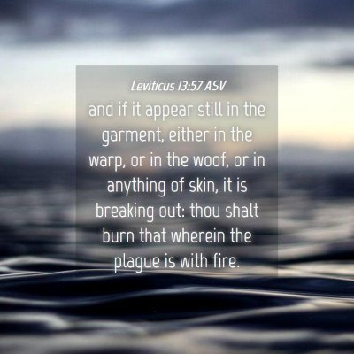 Picture 04 - Leviticus 13:57 ASV - and if it appear still in the garment, either in - Bible Verse Picture