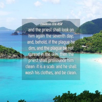 Picture 04 - Leviticus 13:6 ASV - and the priest shall look on him again the - Bible Verse Picture